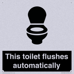 This toilet flushes automatically